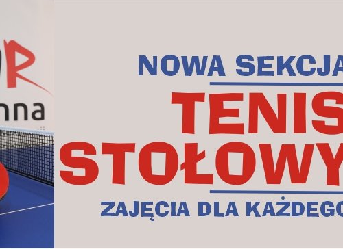 Obraz główny aktualności o tytule Tenis stołowy dla każdego! 