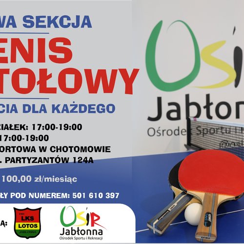 Obraz główny zajęć o tytule Tenis stołowy 